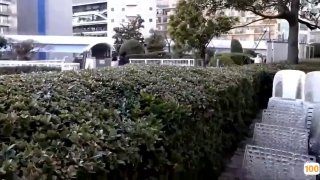 悠宝三岁美妙人生